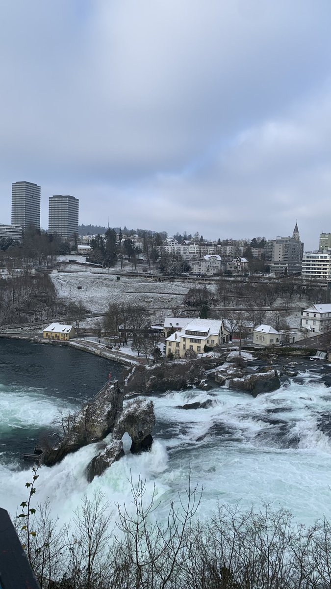 borg_ib's tweet image. inexplicável 🇨🇭