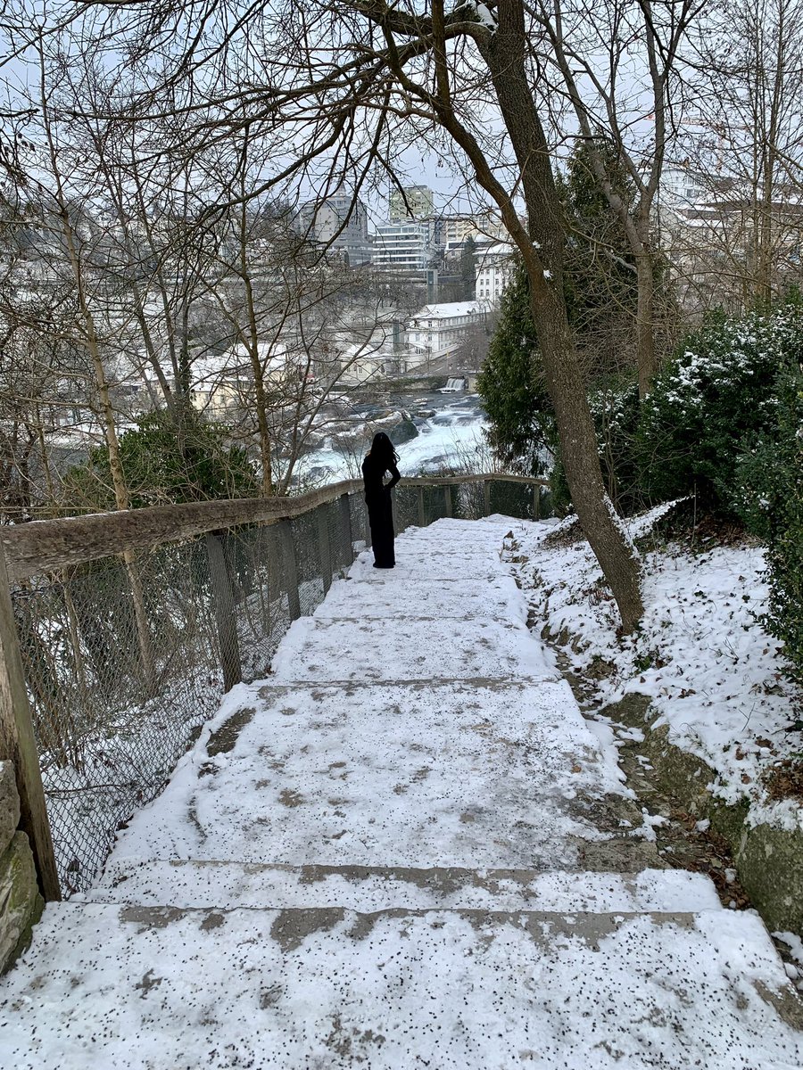 borg_ib's tweet image. inexplicável 🇨🇭