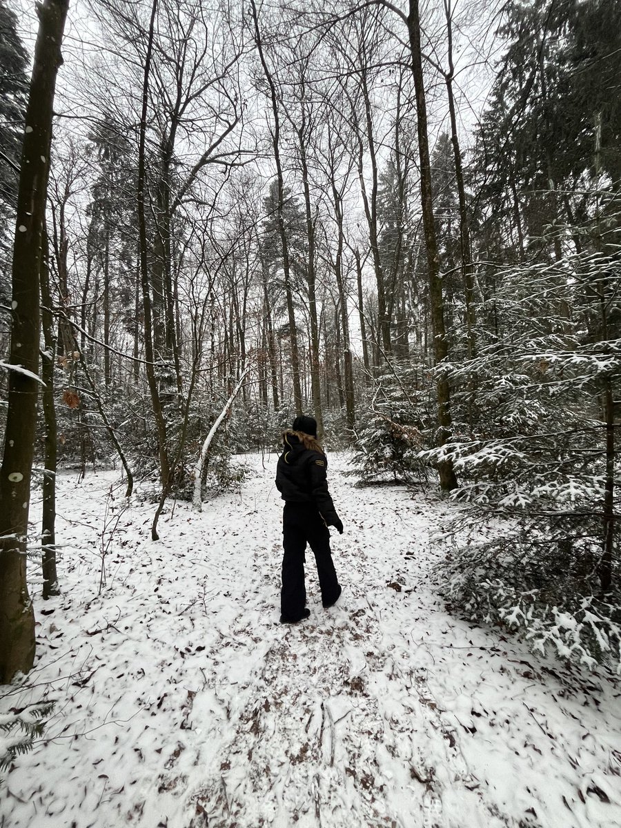 borg_ib's tweet image. inexplicável 🇨🇭