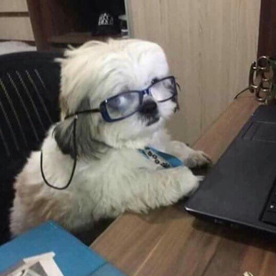 keepstudies's tweet image. ⋆ ˚｡⋆📑˚Como corrigir simulado - a thread.