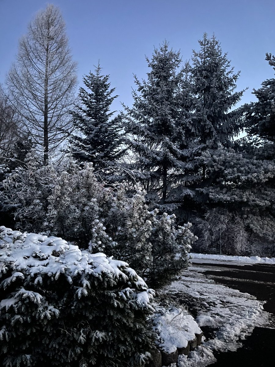 357Letty's tweet photo. An dem kalten Wetter gibt’s doch hier und da doch Momente die man genießen kann, wie zb: dieser Anblick! Einfach wunderschön! 🩵 https://t.co/oVLYJKxEE6
