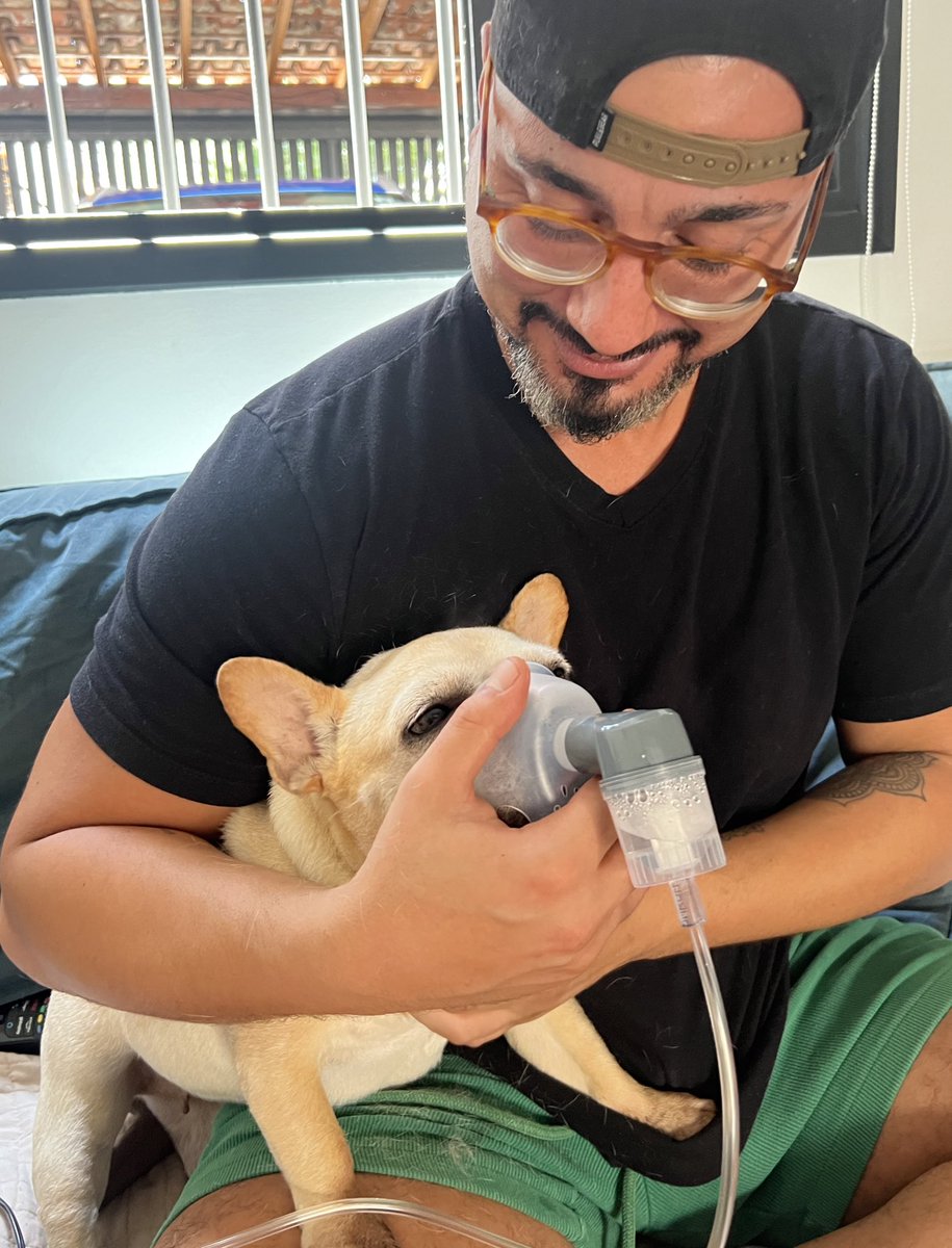 cidra's tweet photo. Depois dizem que não existe pai de pet. Até nebulização a filha tem que fazer pro resfriado. https://t.co/5u6lD6Vmrt