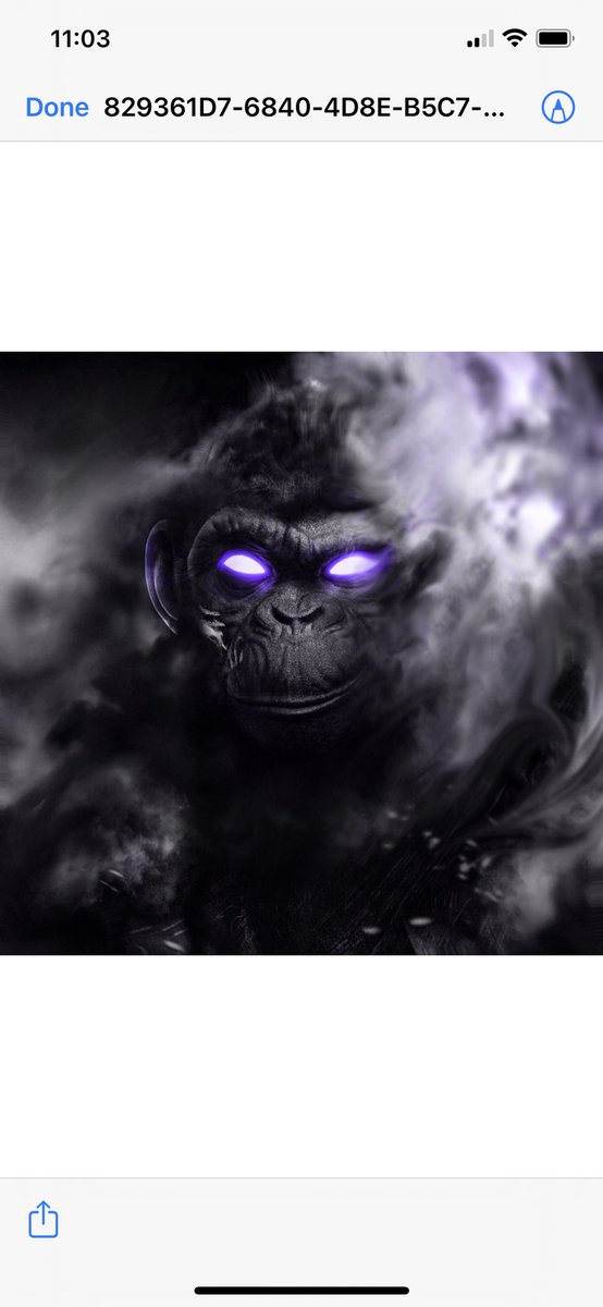 amishnoodles.eth tweet media