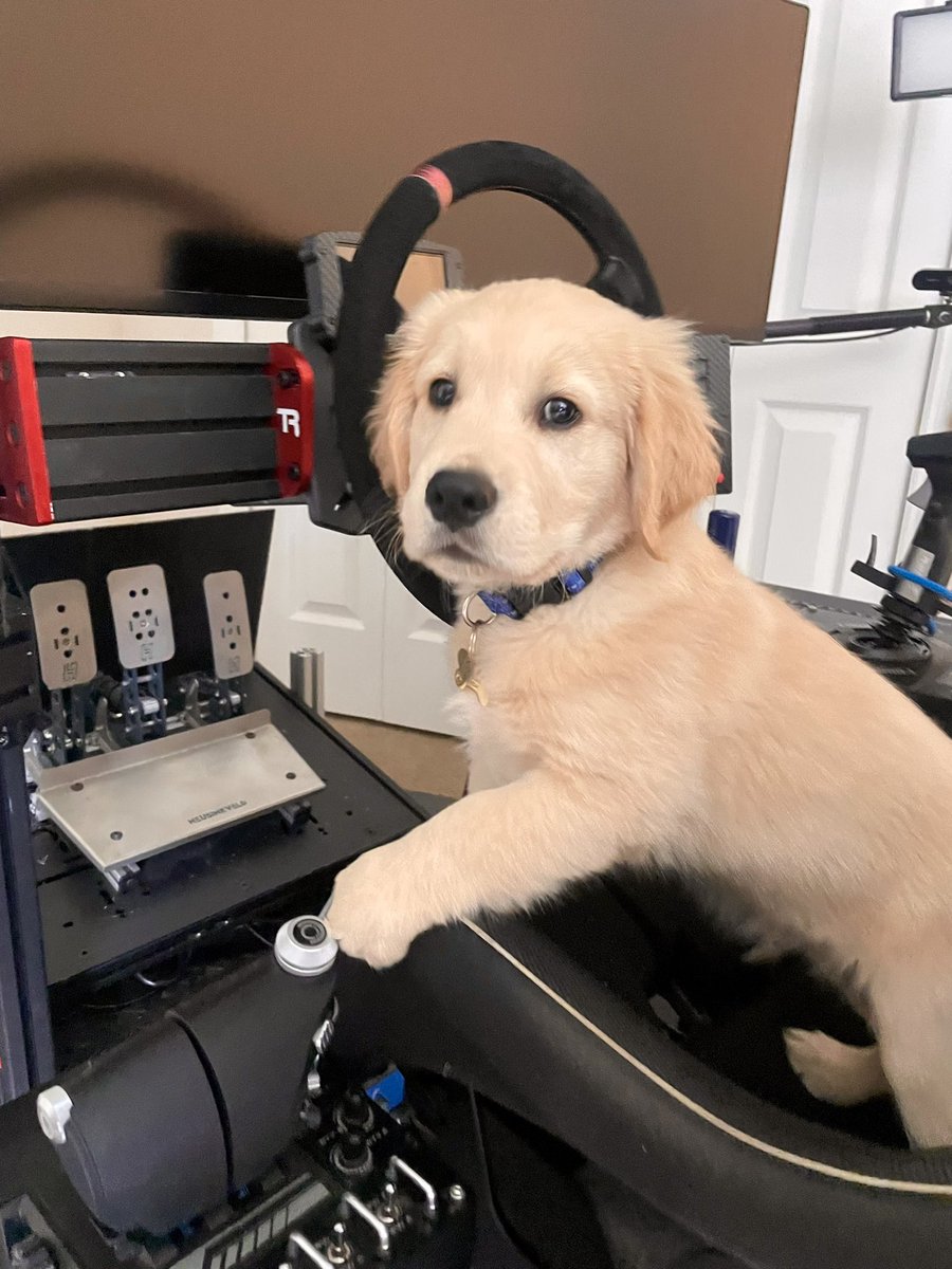 Matt Mogensen tweet media