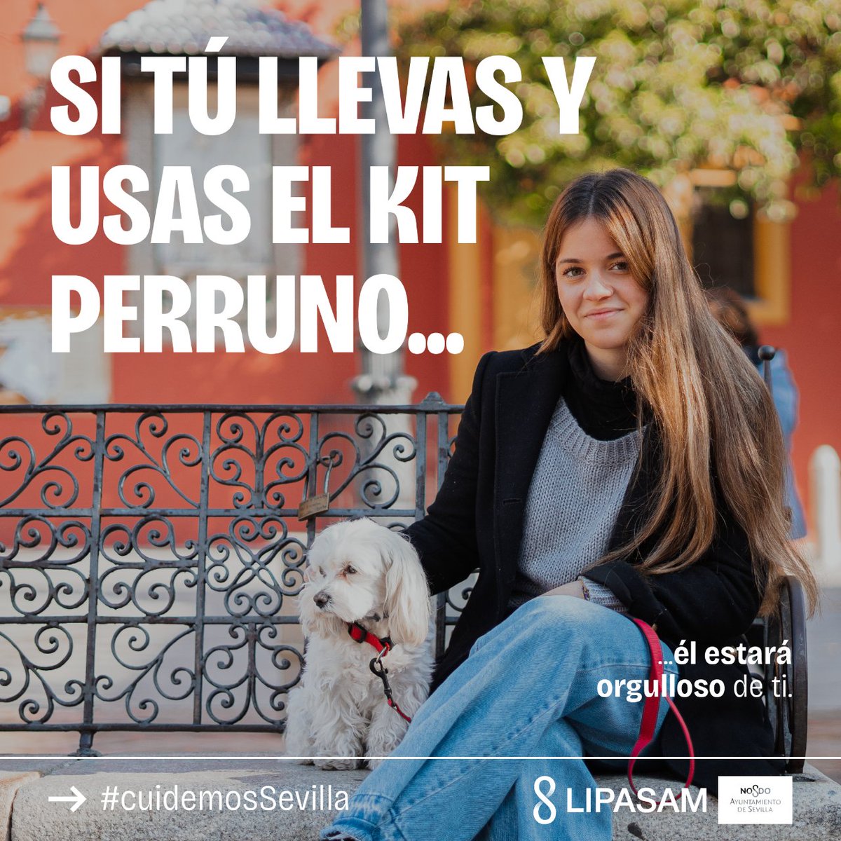 LipasamSevilla's tweet photo. #KitPerruno básico🐾
🦮 Cadena para el paseo
💩Bolsa para recoger los excrementos
💦Botella con agua para diluir el orín
#cuidemosSevilla @Ayto_Sevilla https://t.co/L9m5fsoAY6