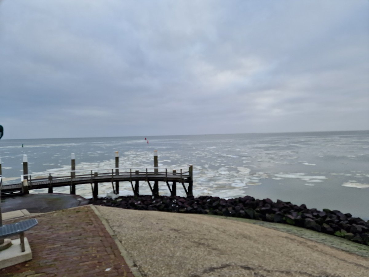 RodnyStolk's tweet image. Second week of patch birding! After a few very cold days with no new species, today a Greater Scaup was present and a Barn Owl flew by, putting the patchlist to 90 species! Amazing views today with the last ice on the Wadden sea and the scaup as a real #patchgold #dpwc2024