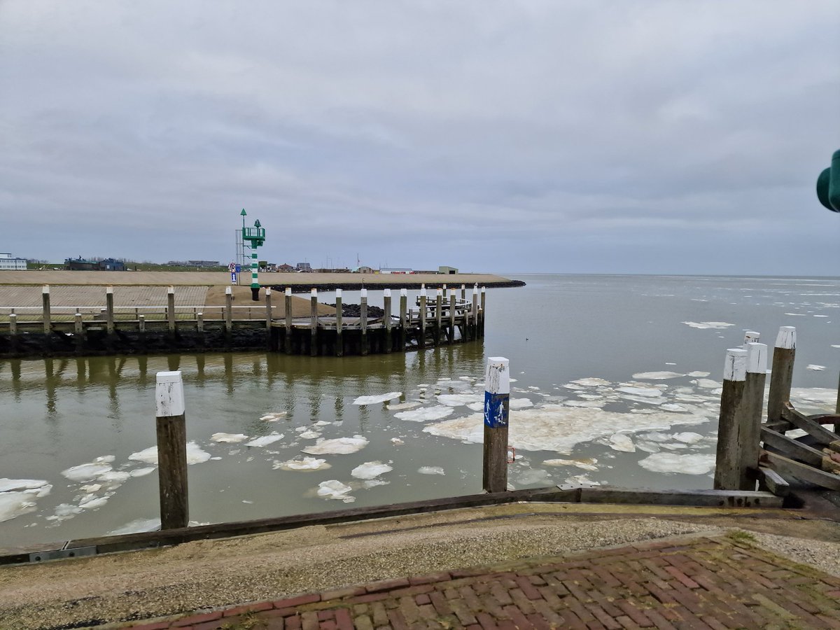 RodnyStolk's tweet image. Second week of patch birding! After a few very cold days with no new species, today a Greater Scaup was present and a Barn Owl flew by, putting the patchlist to 90 species! Amazing views today with the last ice on the Wadden sea and the scaup as a real #patchgold #dpwc2024