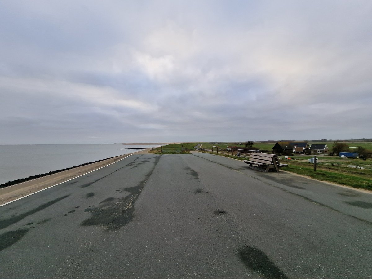 RodnyStolk's tweet image. Second week of patch birding! After a few very cold days with no new species, today a Greater Scaup was present and a Barn Owl flew by, putting the patchlist to 90 species! Amazing views today with the last ice on the Wadden sea and the scaup as a real #patchgold #dpwc2024