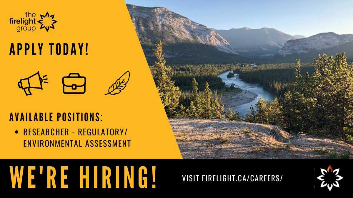 Firelight tweet media