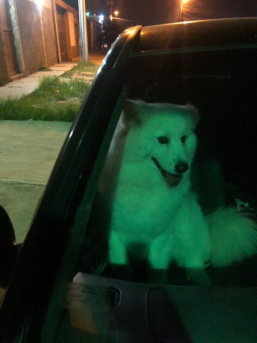 Lo más suave de mi corazón 🩷