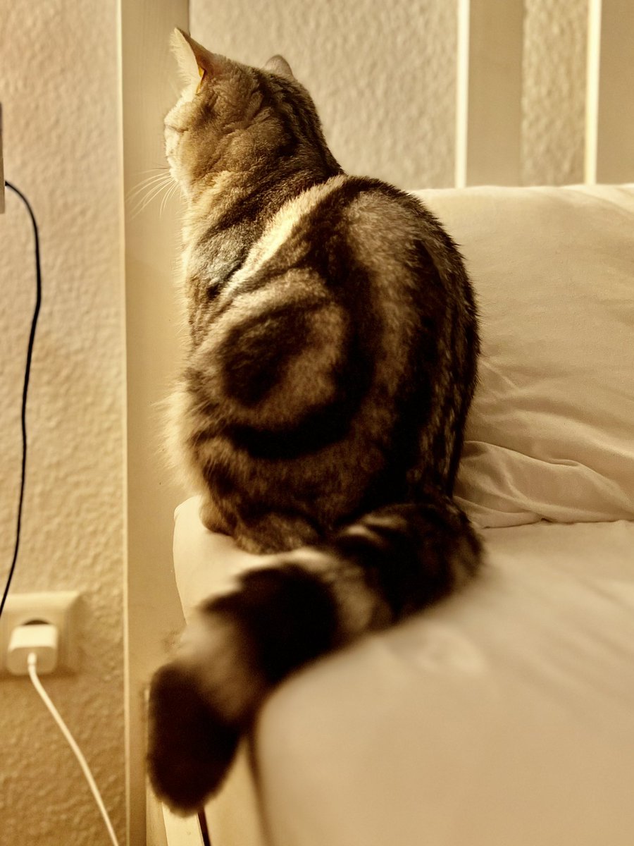 „Sag mal, du hast doch was?!“ -
„Nein alles gut.“