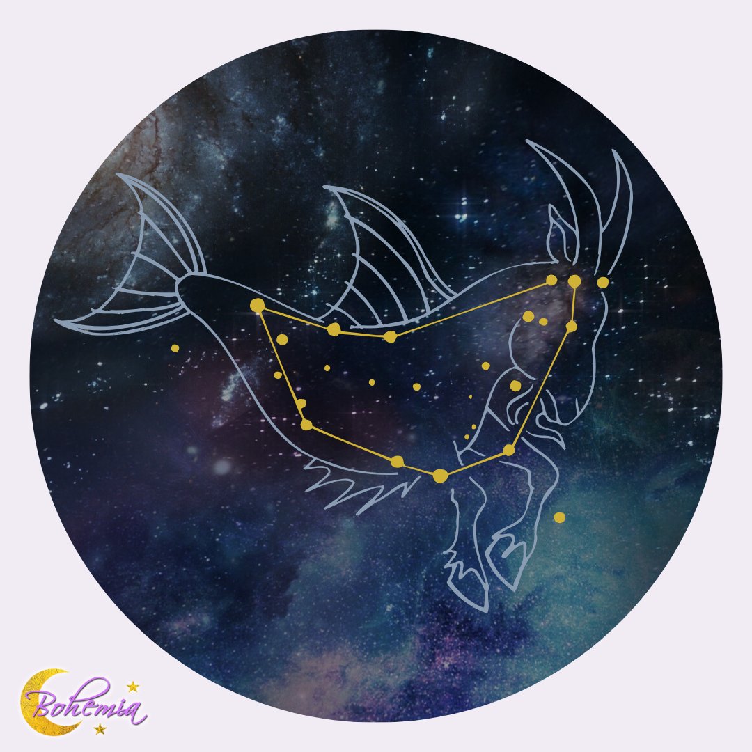 LunaBohemiaShop's tweet image. The New Moon in Capricorn is a powerhouse for grounding intentions and igniting a your journey. Make the most of it by setting intention, organizing your goals, and developing a practical strategy. Happy New Moon! 🌙

#LunaBohemiaShop #NewMoon #NewMoonEnergy #Capricorn
