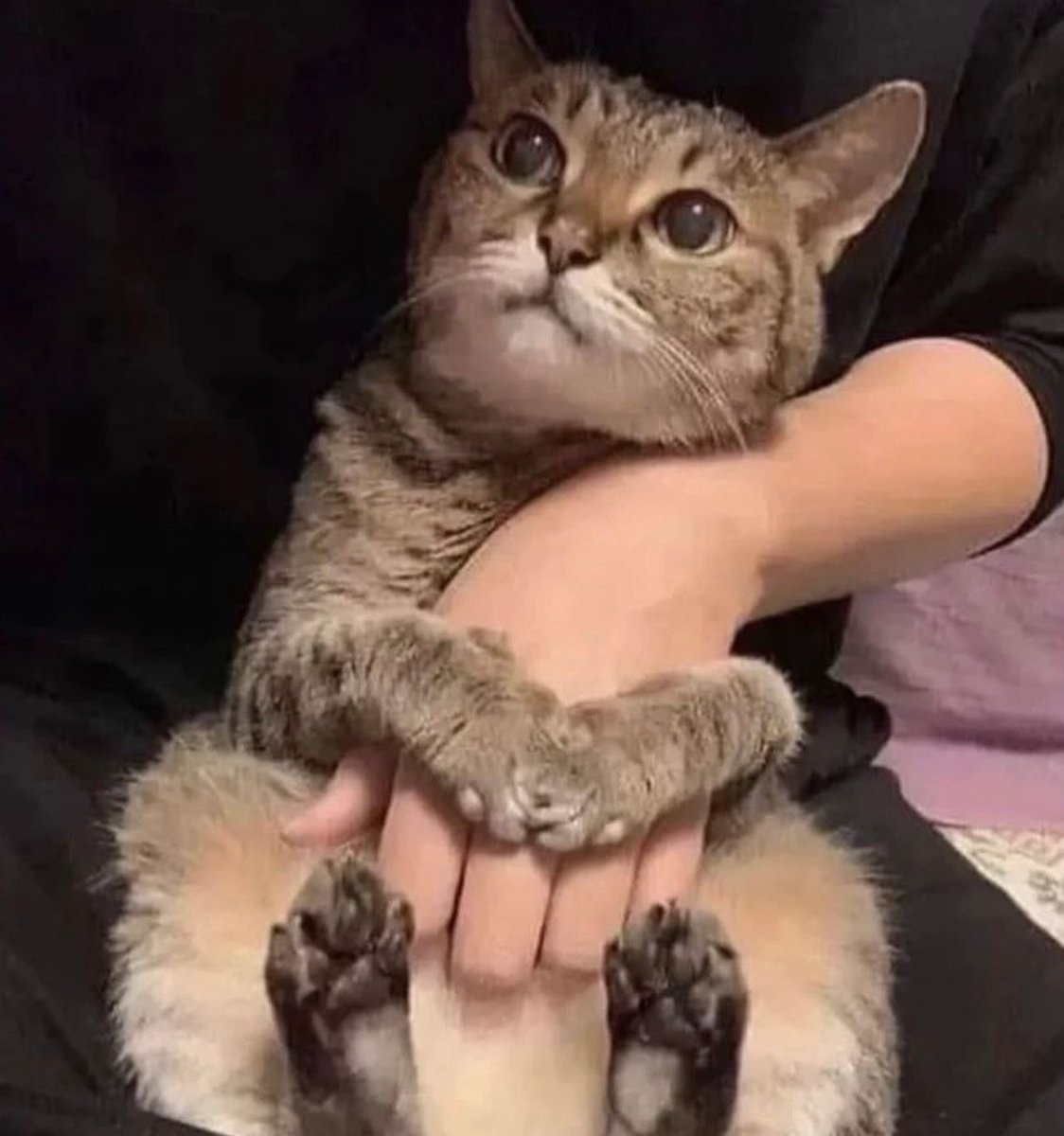 need someone to hold me like this