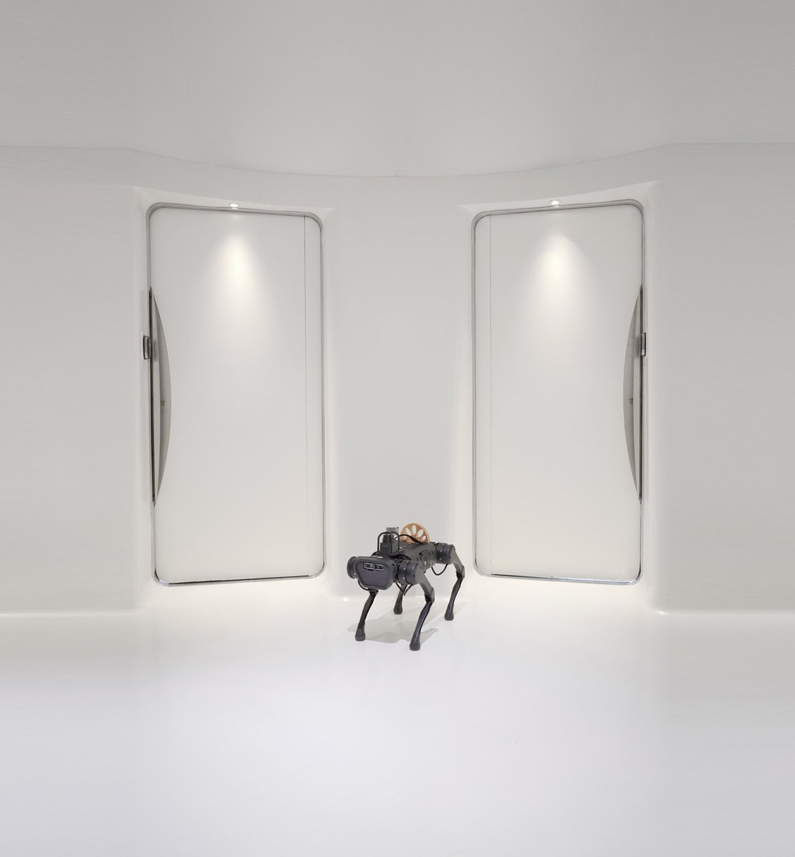 fakewhale tweet media