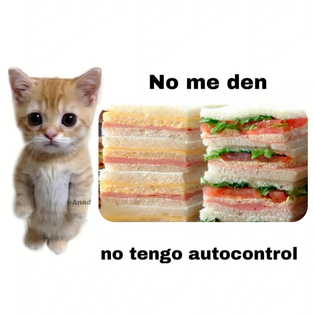 ROCIO 🇦🇷 (@rougarte1) on Twitter photo 