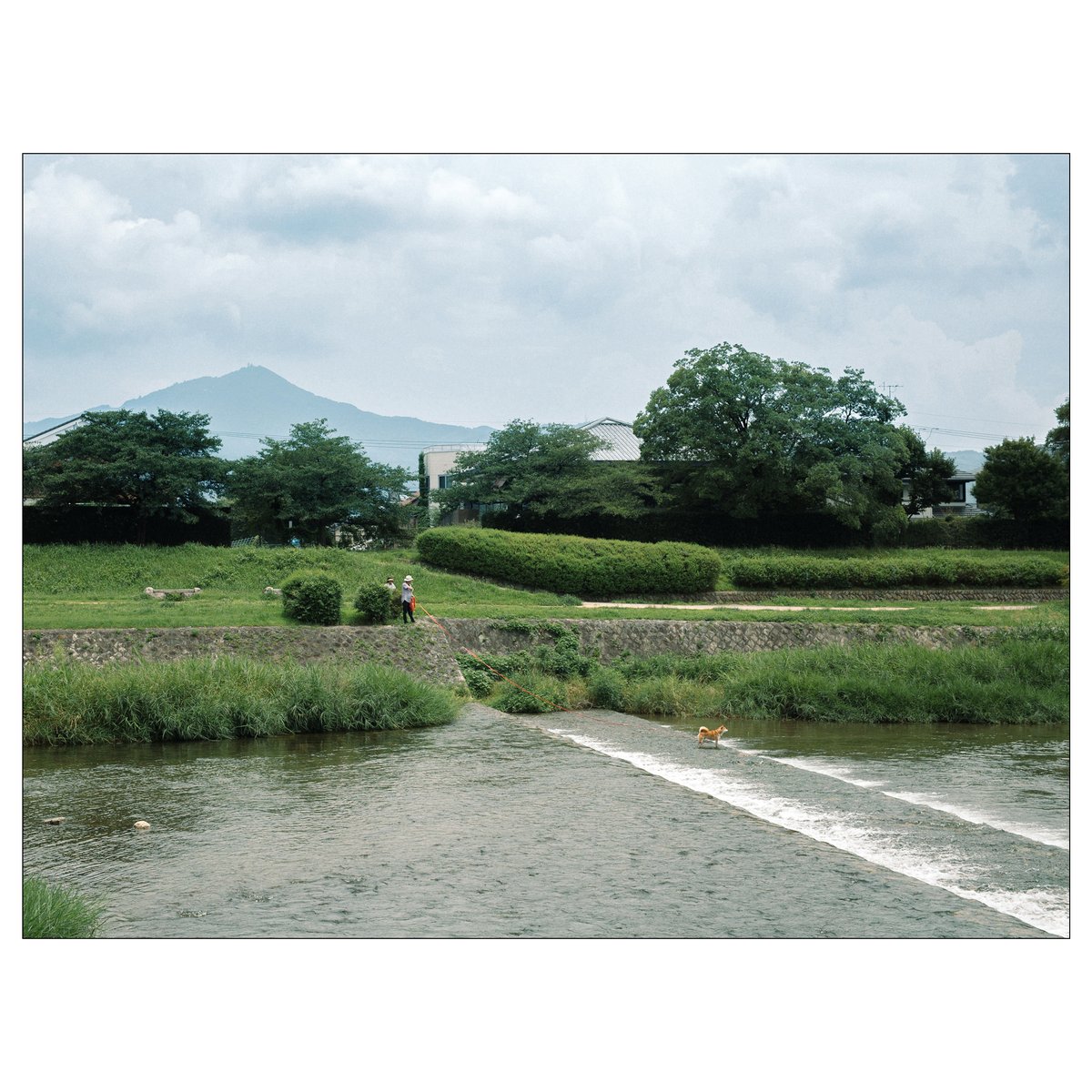 息子がこの春から京都の大学に進学する。これから始まるだろうあの日々を思って気が遠くなる。きっと鴨川でなんでもない時間を過ごすだろうし、四条あたりの古い喫茶店にでも通うんだろう。丸太町通りを自転車で駆け抜けて、木屋町で絡まれたりするかもしれない。寒いとか暑いとか言って右往左往しなが