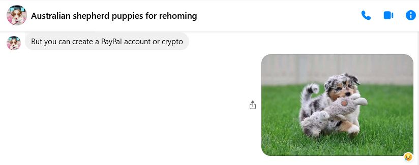 🚨 Beware of #petscams! Scammers use tactics like:

1️⃣ Unbelievably low prices 
2️⃣ Urgency for immediate payment 
3️⃣ Sketchy payment methods, especially crypto 
4️⃣ Lack of verifiable information 
5️⃣ Dodgy or nonexistent reviews

#ScamBait #FightFraud