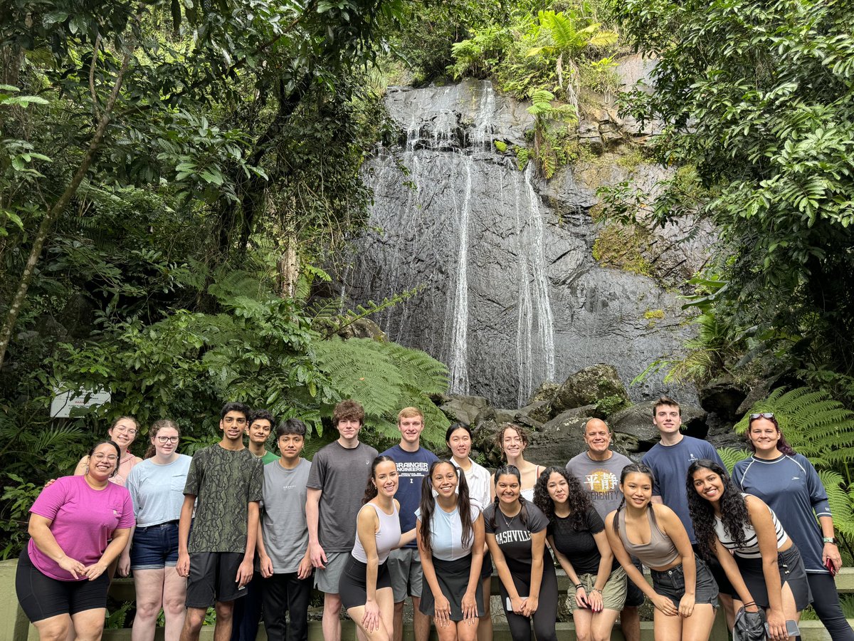BioMASSlab's tweet photo. Yesterday, we explored the rainforest, went swimming at the beach, and ended the day with ice cream. 🌳🏖️🍦 What an amazing time! 🤩 We’re now all relaxed and ready for more work today! 💪 https://t.co/aWxhNNuYj3
