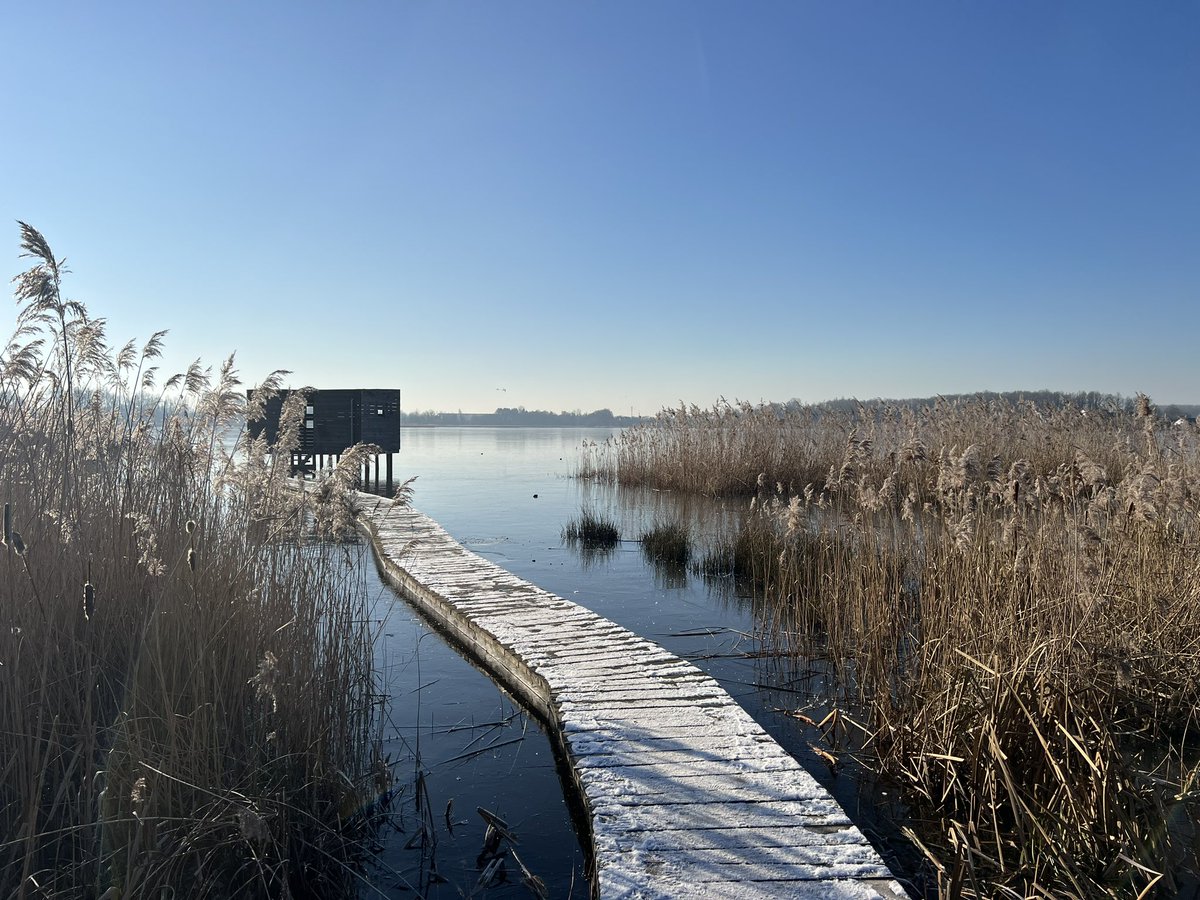 koensquasher's tweet photo. Heerlijk weer! 13.30, -2 @vrtweer #vrtweer https://t.co/kLMAJPGDs4