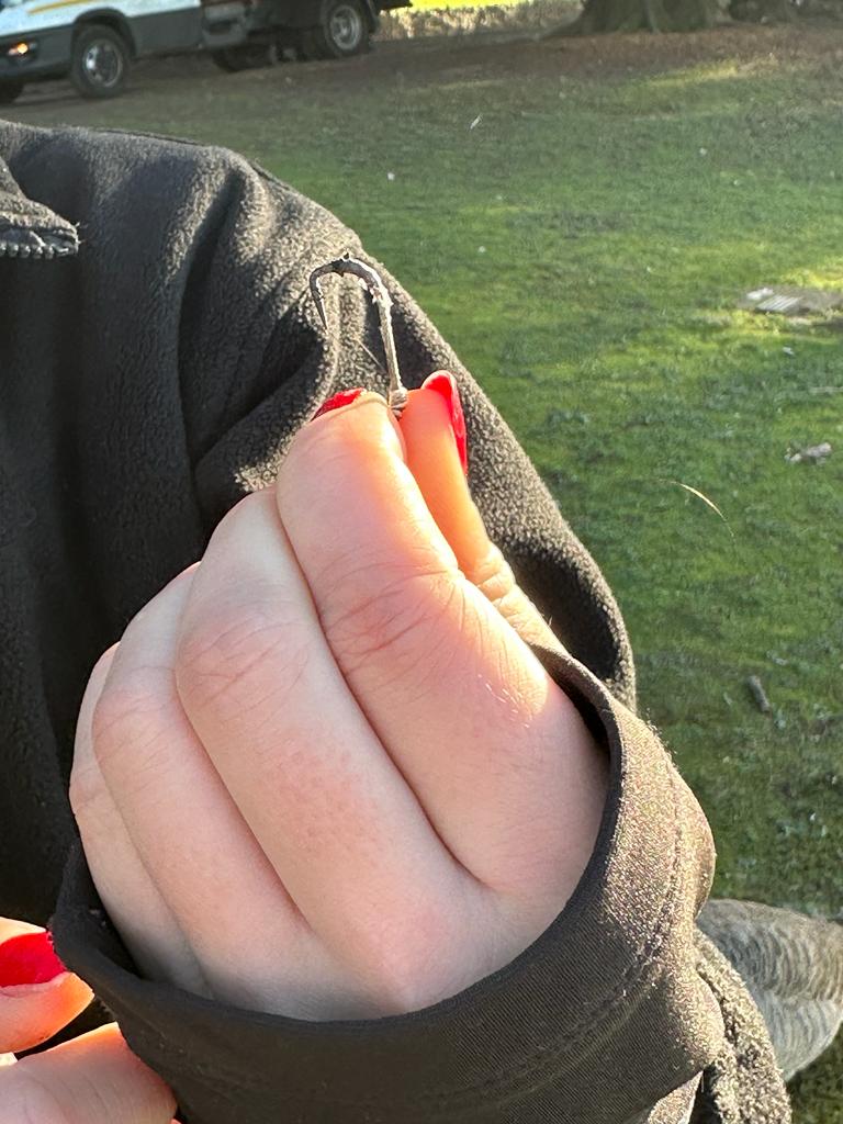 The Rangers Worked together to Rescue a Mute Swan that had a fishing hook stuck in it with the wire wrapped around the legs. Thankfully the Swan is now Free and well. #Workingtogether
#SwanRescue #CardiffCouncil #Roath
#RoathParkLake #nature