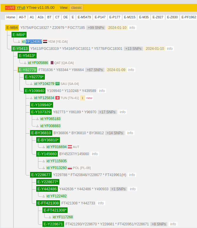 جينات اليمن Yemen's genes tweet media