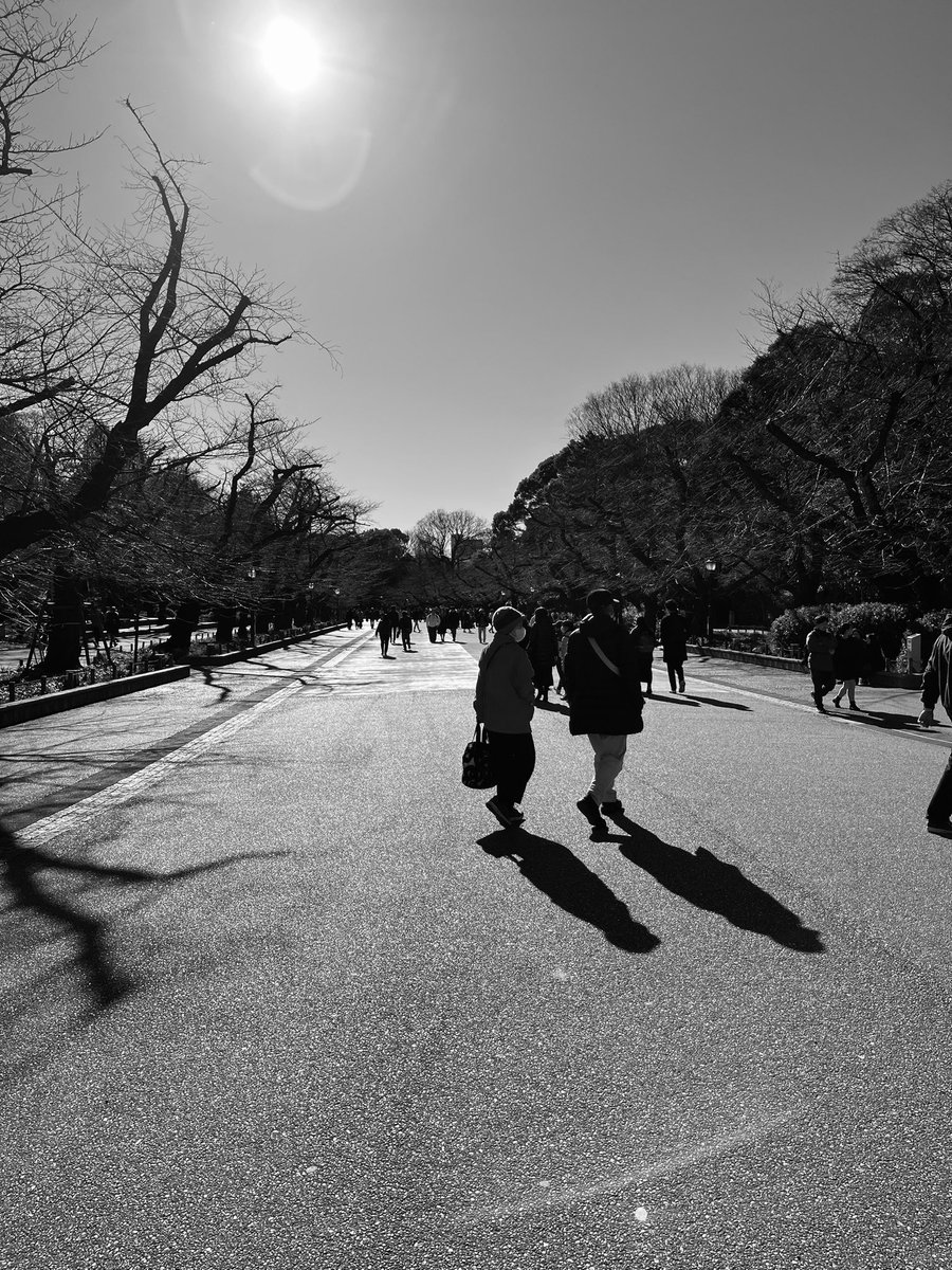 NotADimeAgain's tweet photo. Braving chilly wind in Tokyo. Afternoon stroll #blackandwhite #Tokyo #Ueno #JapanWinter2024 https://t.co/Hc6igpCg9o