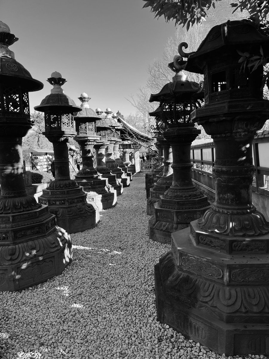 NotADimeAgain's tweet photo. Braving chilly wind in Tokyo. Afternoon stroll #blackandwhite #Tokyo #Ueno #JapanWinter2024 https://t.co/Hc6igpCg9o