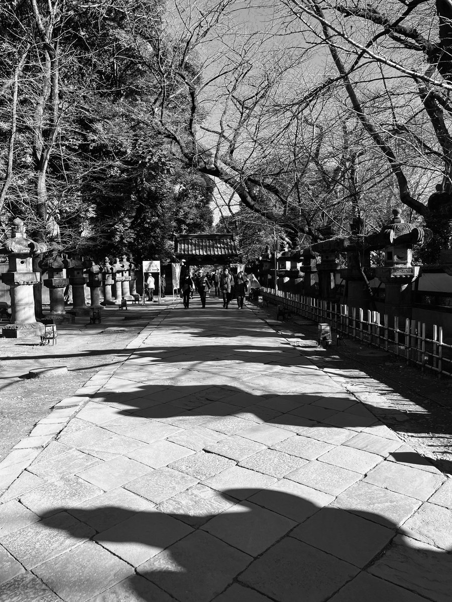 NotADimeAgain's tweet photo. Braving chilly wind in Tokyo. Afternoon stroll #blackandwhite #Tokyo #Ueno #JapanWinter2024 https://t.co/Hc6igpCg9o
