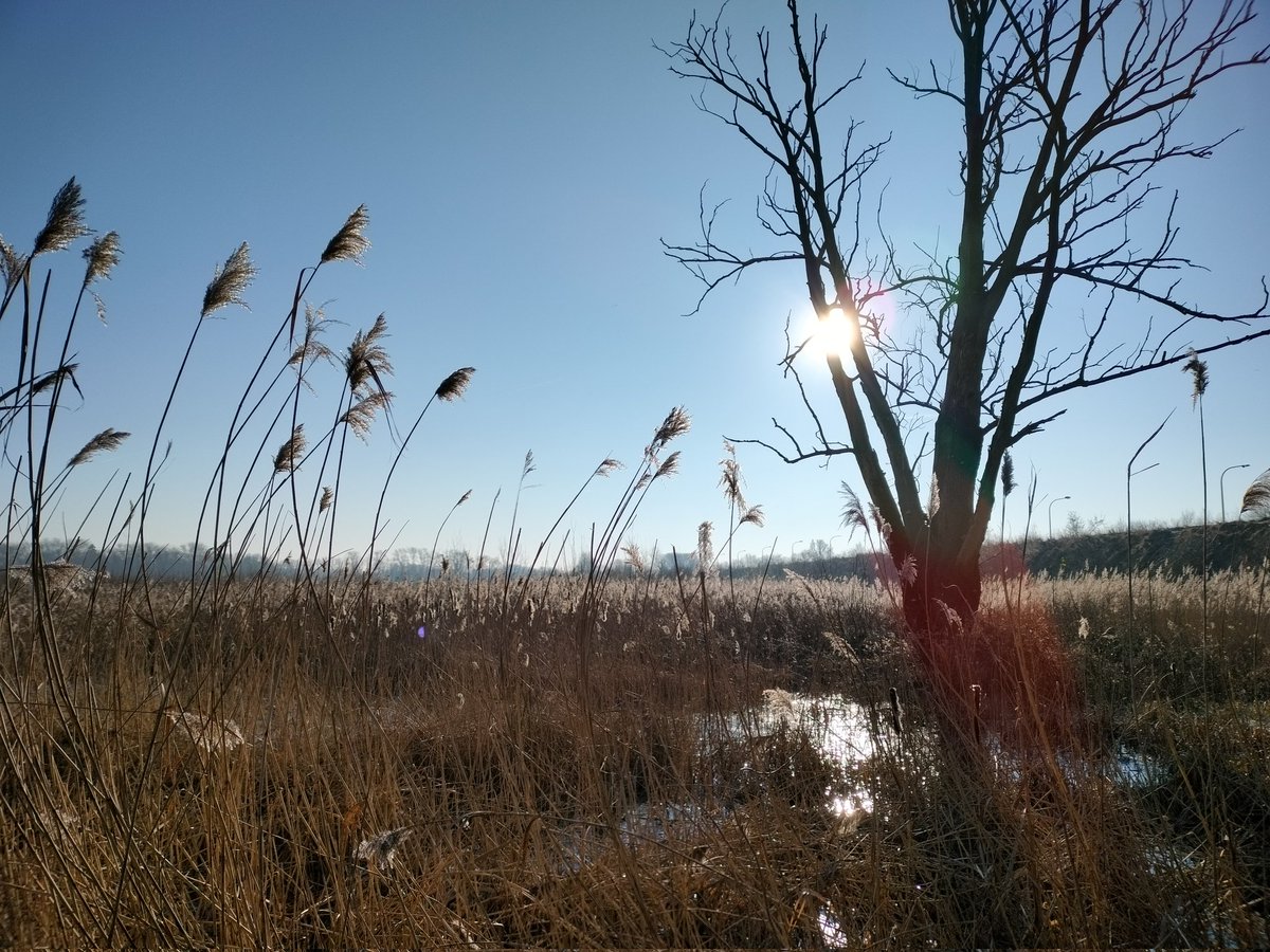 FallonDesegher's tweet photo. Wat een weertje 🌞 

#bourgoyen #gent #vrtweer https://t.co/mXgFKBz8pt