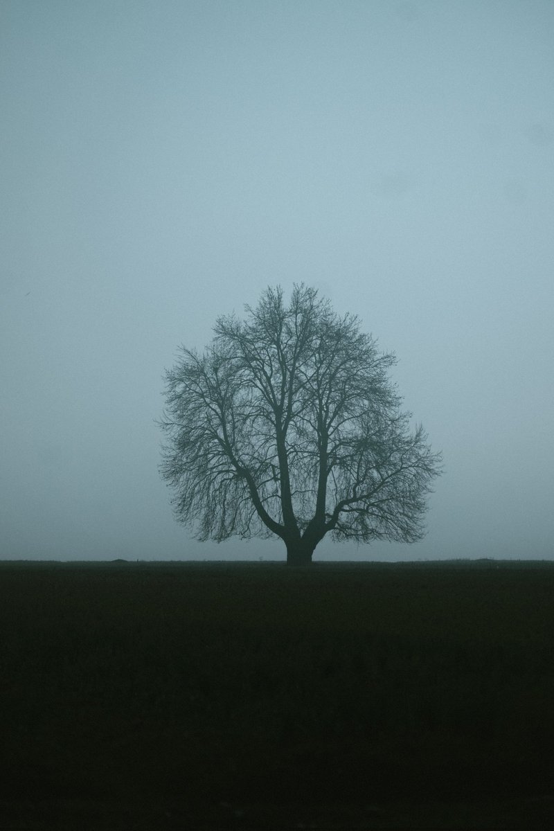 ummer__manzoor's tweet photo. In the midst of fog, clarity often emerges.' https://t.co/iCPcAmSNJy