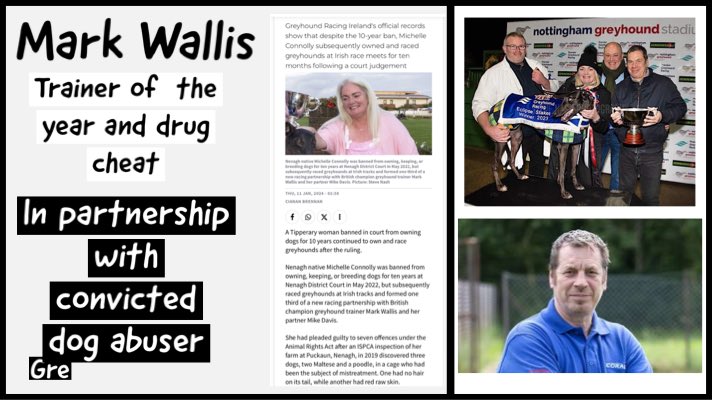 Greyhound Racing Exposed tweet media