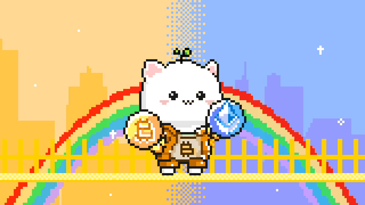 Bitcoin Cats tweet media
