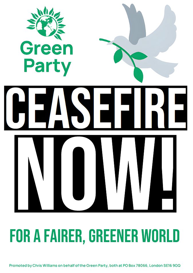 🕊 “Now is the time to search for new peace initiatives that can break this cycle of pain and create the conditions for a lasting peace in the region.' 💬 Green Party co-leader @carla_denyer on #IsraelGazaWar. Read @TheGreenParty full statement below 👇