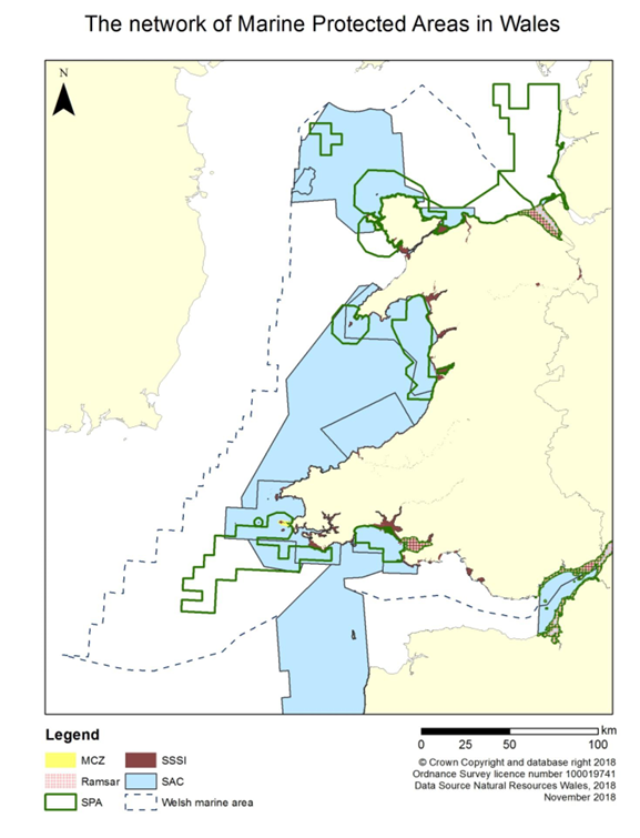 Building #IrishSea ecological connectivity - Great to see The #Saltee Islands, Wexford, #Ireland and #Skomer Island, #Pembrokeshire, #Wales included in the international #IrishSea Marine Protected Area Network #MPA #goodnewsfornature #IrelandWales