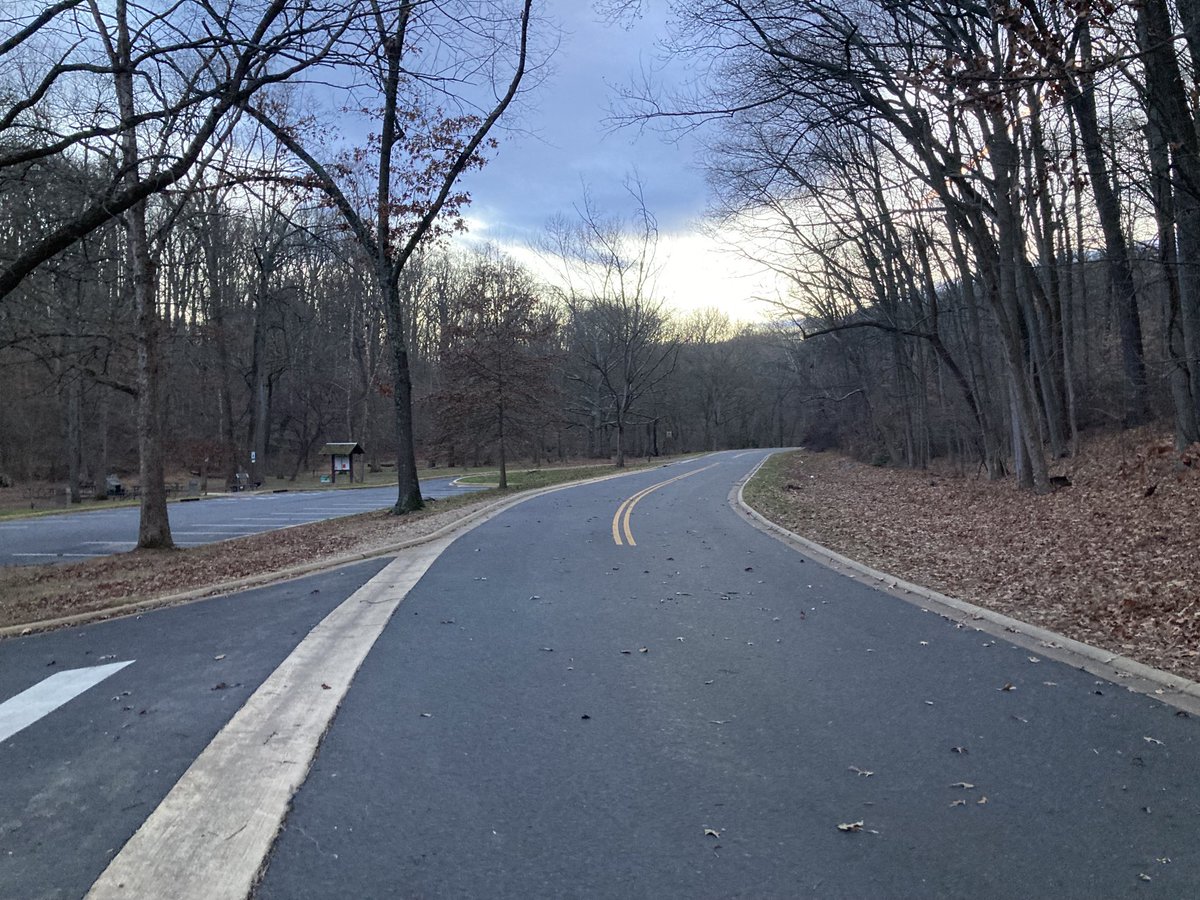 genevcoffey's tweet photo. Loneliness of a January run. #Running #RunningIsLife #RunDC #RockCreekPark https://t.co/ge6ooxGiCj