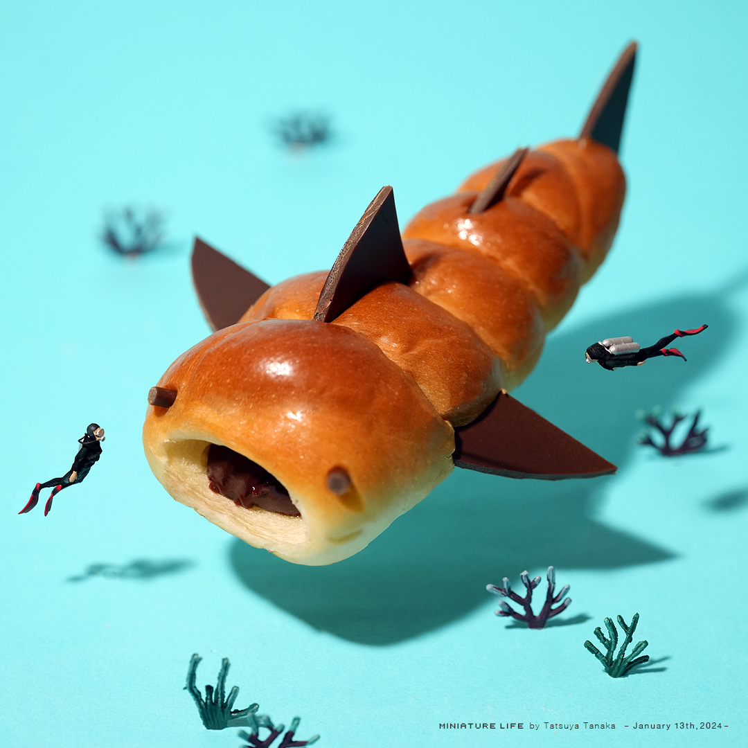 Tatsuya Tanaka 田中達也 tweet media