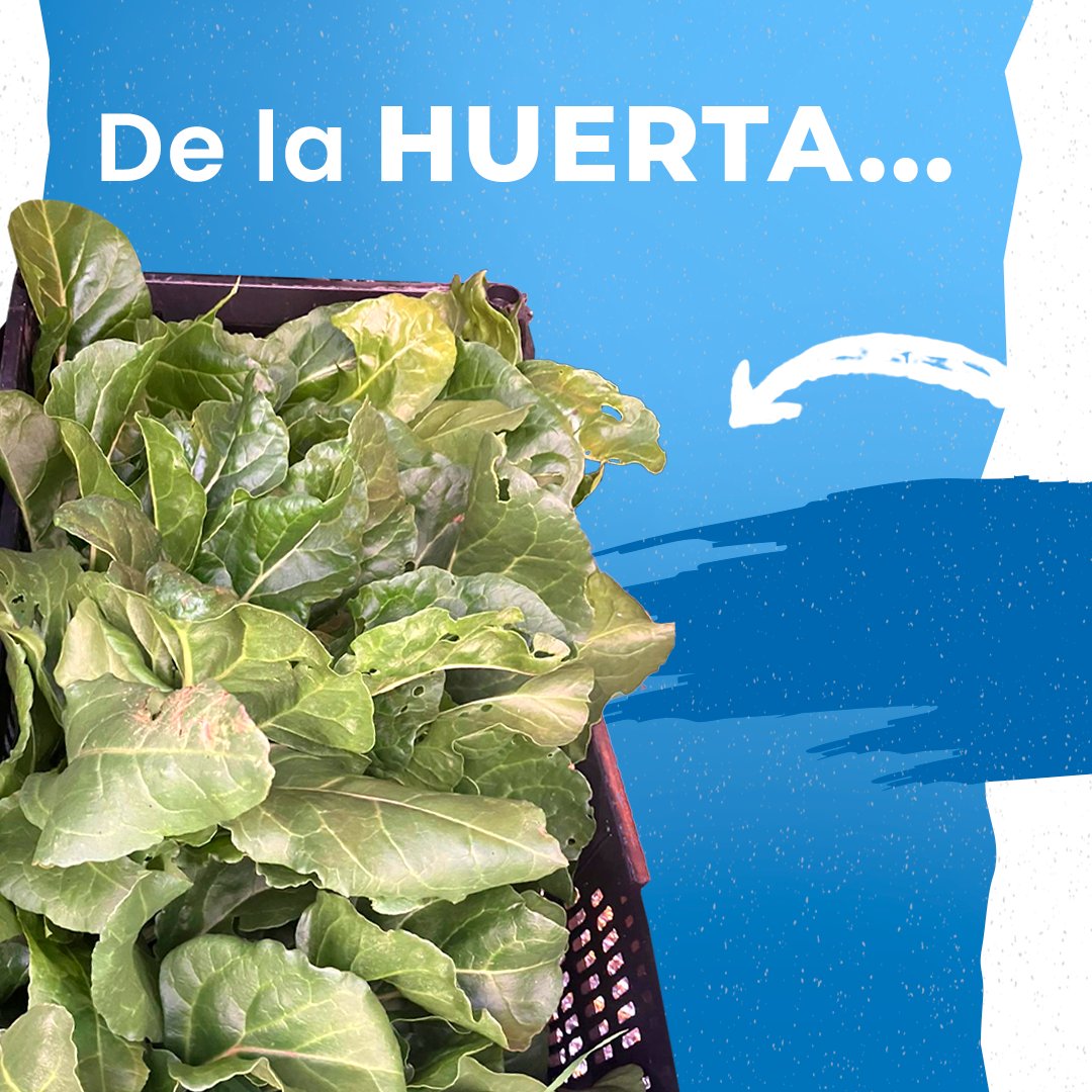 GoRest6's tweet image. Porque nada sienta tan bien como comer alimentos 100% ecológicos y naturales.
En Go Rest contamos con un gran número de platos caseros y equilibrados.
Sólo tienes que elegir tus preferidos y nosotros te los enviamos donde tú nos digas.

➡️gorest@gorest.es

#GoRest #ComidaCasera