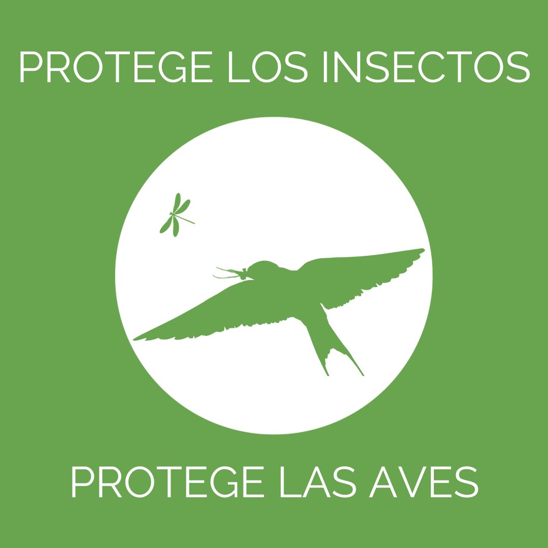 This year's World Migratory Bird Day slogan "PROTECT INSECTS, PROTECT BIRDS" is a reminder that even the smallest creatures have a big impact. Don't underestimate their importance. 

<a href="/cms/">caroline stokes</a>.migratory.species <a href="/aewa/">Agnes</a> <a href="/EAAFP/">EAAFP</a> 
@worldmigratorybirdday