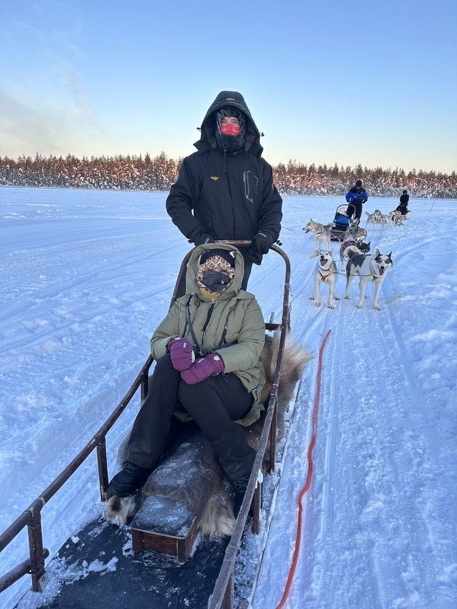 Dog Sledding, Finland.