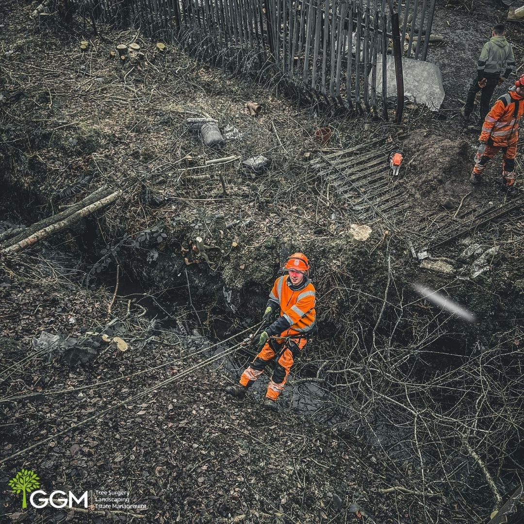 🌳👷‍♂️ Large site clearance? Easy as 1 2 TREE with #GGMLandscaping! 🚜 Our unique team & equipment blend makes big jobs a breeze. Need our service? Just give us a call! 📞 #SiteClearance #TreeSurgery