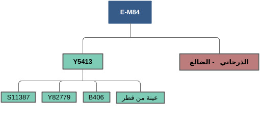 جينات اليمن Yemen's genes tweet media