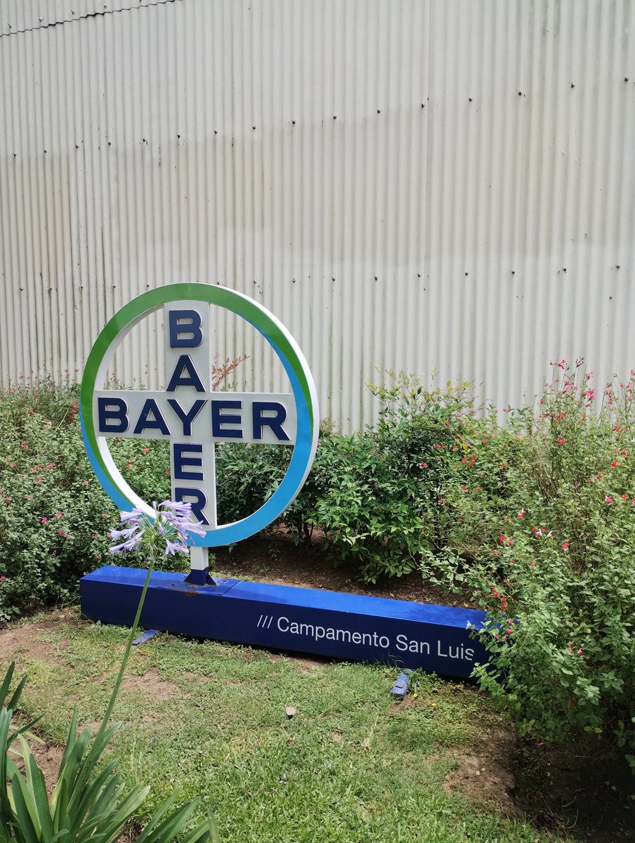 corimarabini's tweet photo. Visitamos el Campamento San Luis y Establecimiento Fran Luis de Bayer ubicados en Rojas, Buenos Aires.
100% Calidad de trabajo.
👏👏
@AgroBayerAR

 Pre Fundadoras https://t.co/S5tvD63E3N
