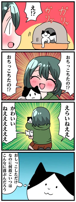 #猫飼いあるある