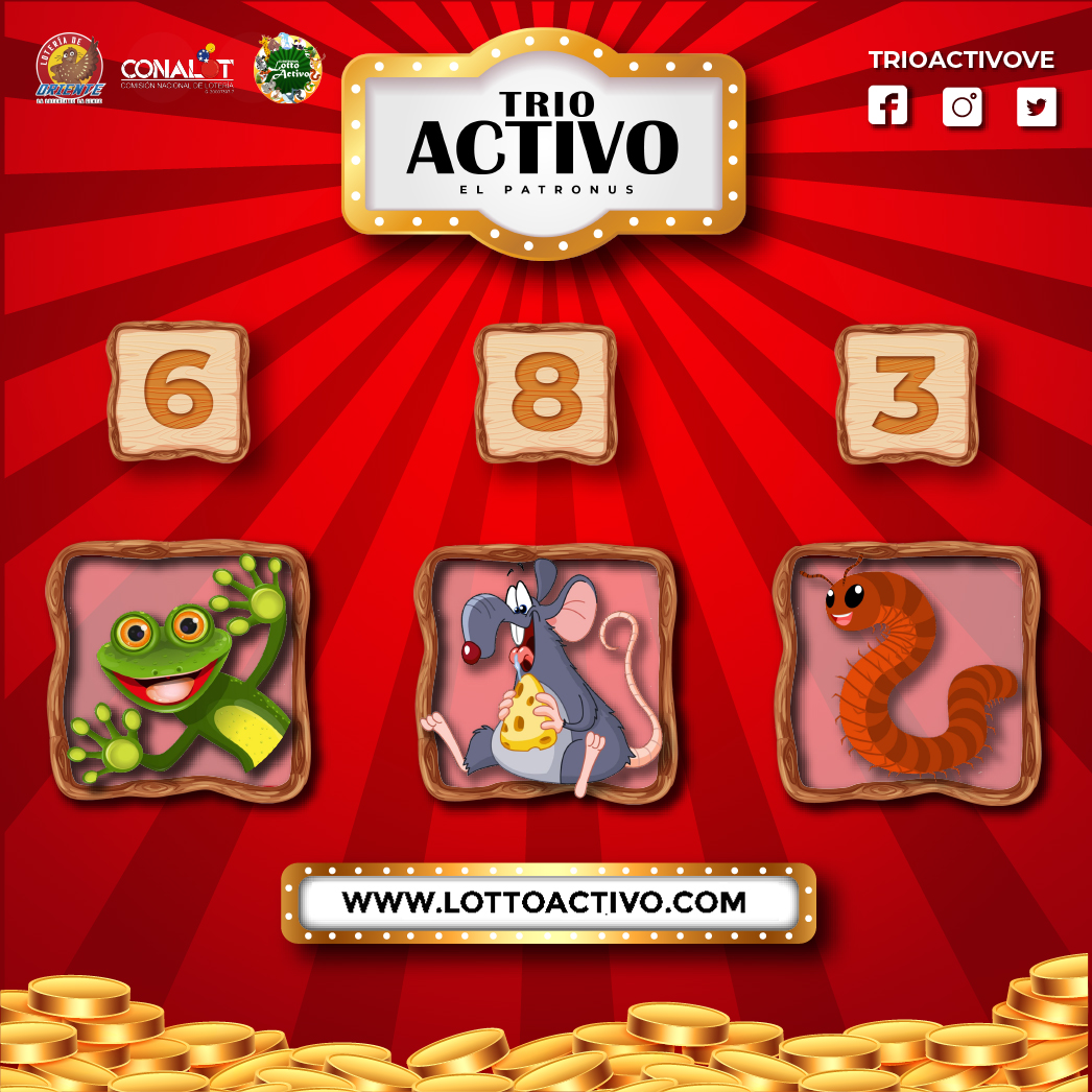 El Patronus Lottoactivo tweet media