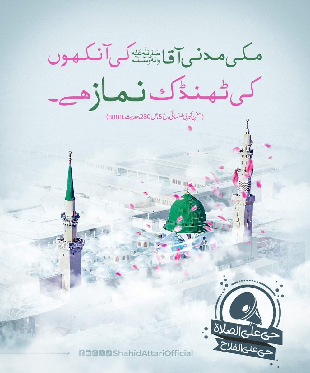 AizazIqbalAwan's tweet photo. نبی کریم ﷺ کی آنکھوں کی ٹھنڈک
#DawateislamiZindabad
#Dawateislami https://t.co/g6DHaotleI