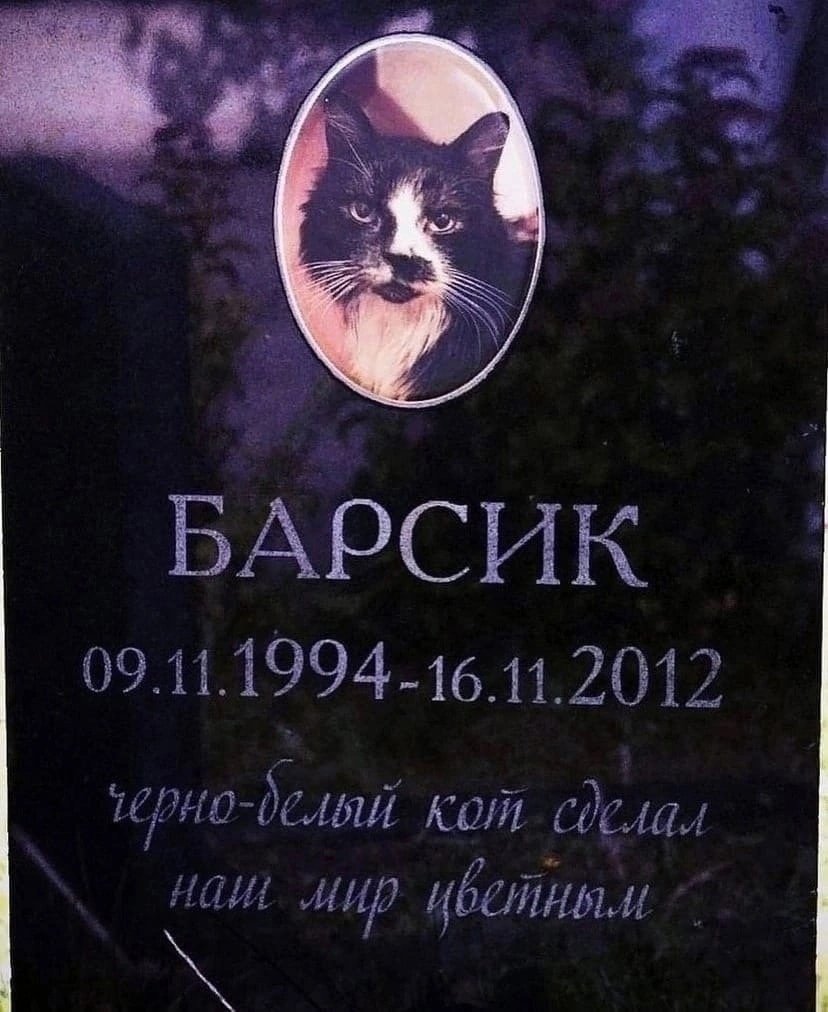 Что довело меня до слез сегодня.