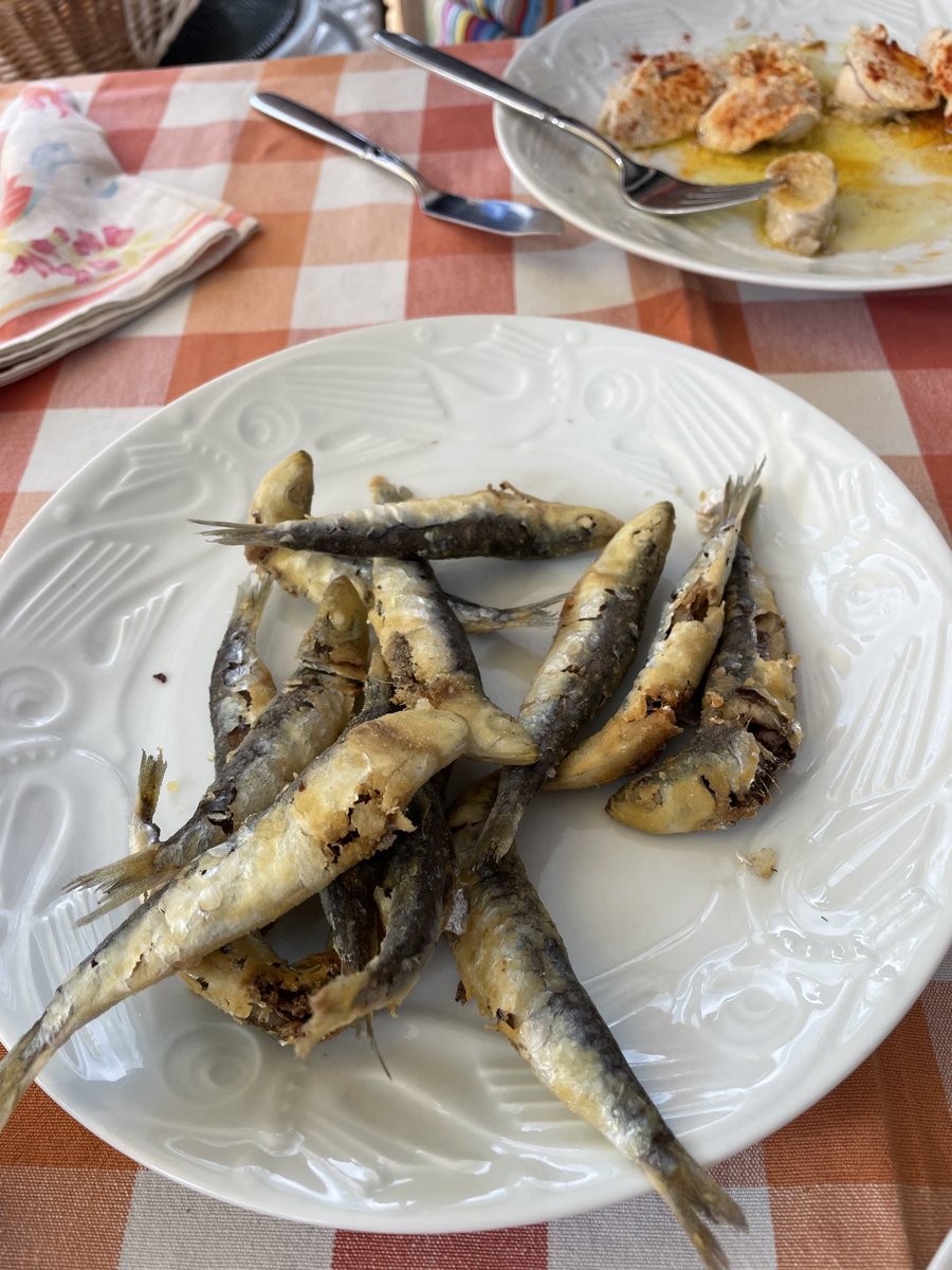 Na casa, en moitas de Galicia, comemos as xoubas enteiriñas. Somos desas persoas que “comen o aparato dixestivo” dalgúns peixes. Habelas hainas.