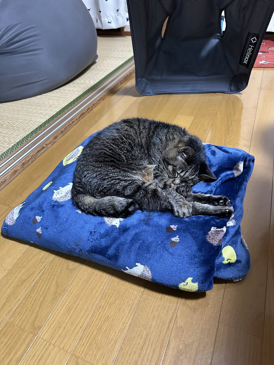 ストーブの前が好き。