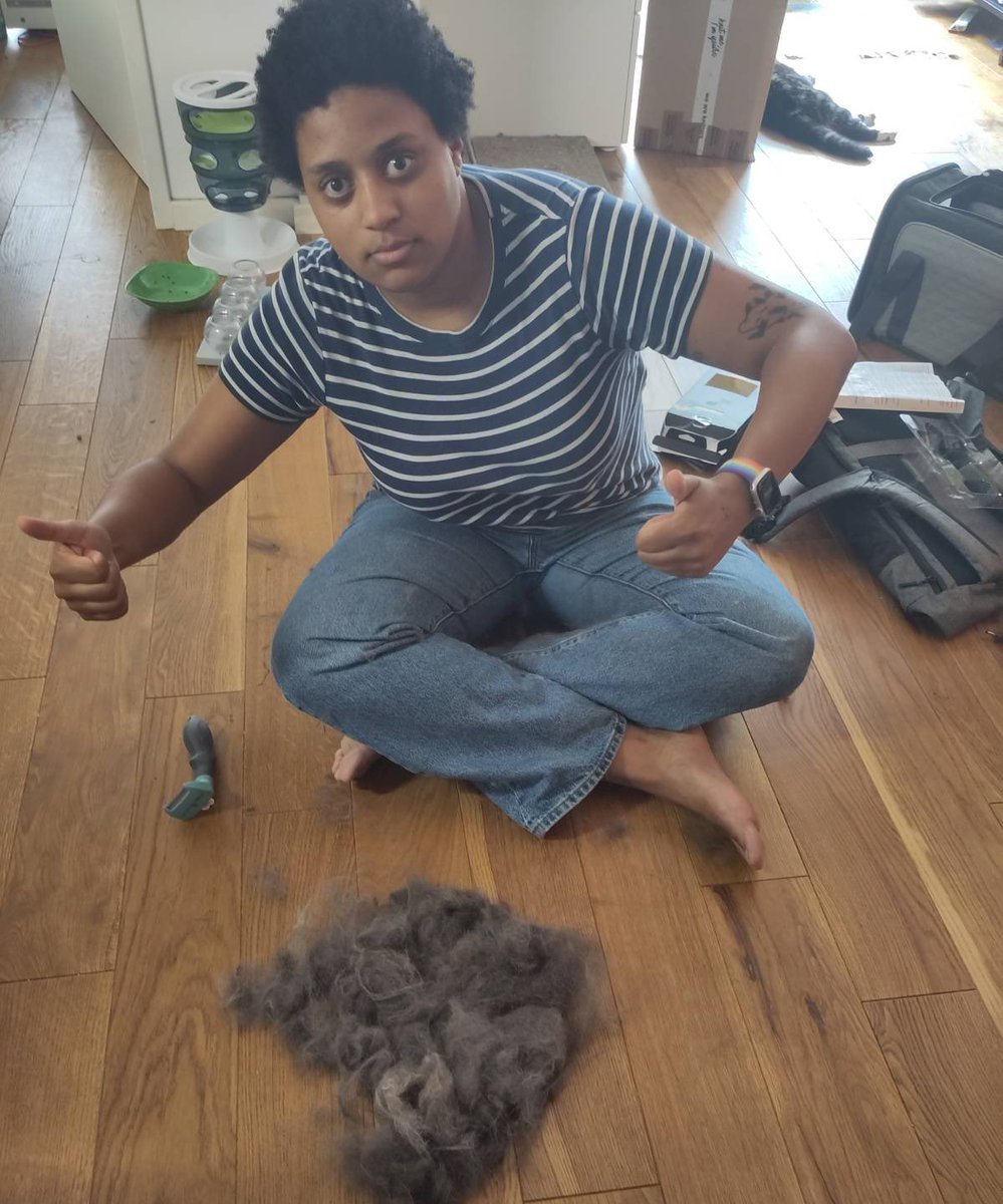 Nemorosae's tweet photo. @Cannibanouk Mdr j‘ai quelque chose de comparable au gif 
(ils sont a poils „courts“ mais ils sont fluff et avec un sous poil hyper fourni 🥲)
Je me demandais comment les gens avec des chats faisaient pour avoir si peu de poils chez eux 
1) ils en ont 1
2) à poils vraiment ras 😬 https://t.co/8el4TTT2Vq