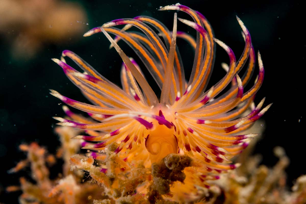 DanThΞMan Photography 📸 tweet media